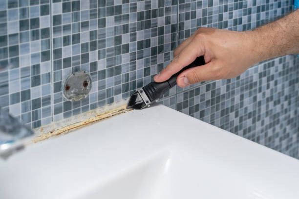 Professional Mold Remediation in Gratton, VA